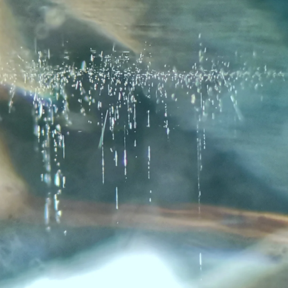 图片5.png 图片5.png