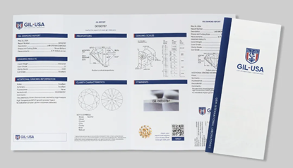 图片17.png 图片17.png